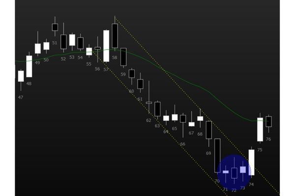 Figura 1 - Gráfico Diário Dólar